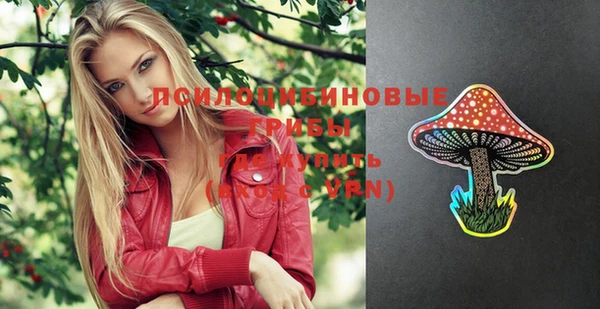 бошки Володарск