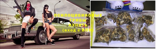 бошки Володарск