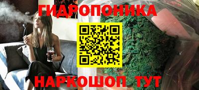 индика Ипатово