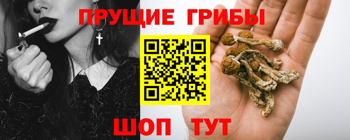 Набережные Челны  Псилоцибиновые грибы прущие грибы  как найти   Вход с VPN  Галлюциногенные грибы прущие грибы 